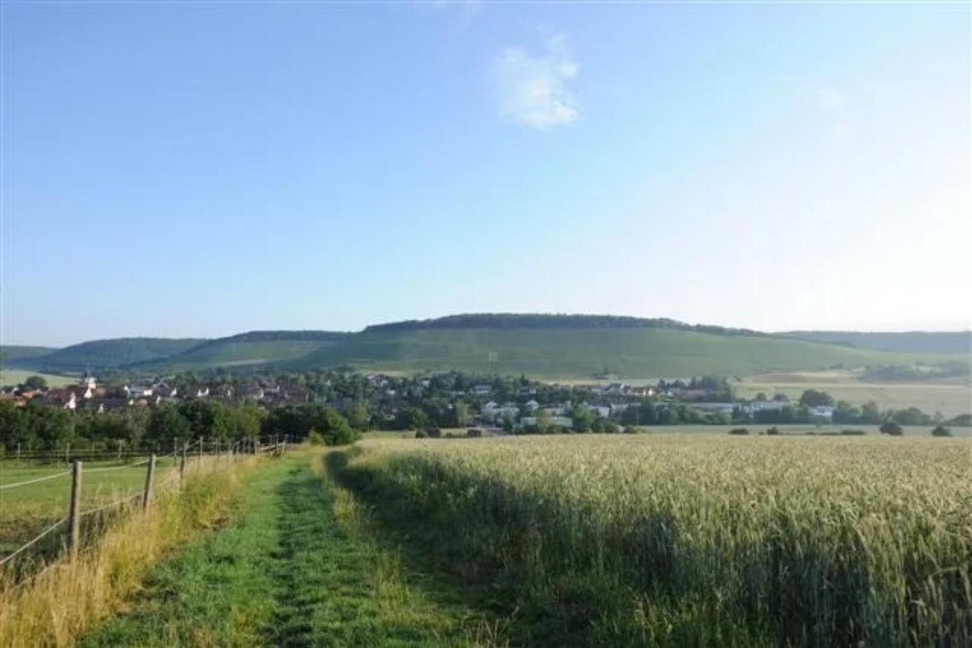 Landpension Wachtkopf Vaihingen an der Enz Εξωτερικό φωτογραφία