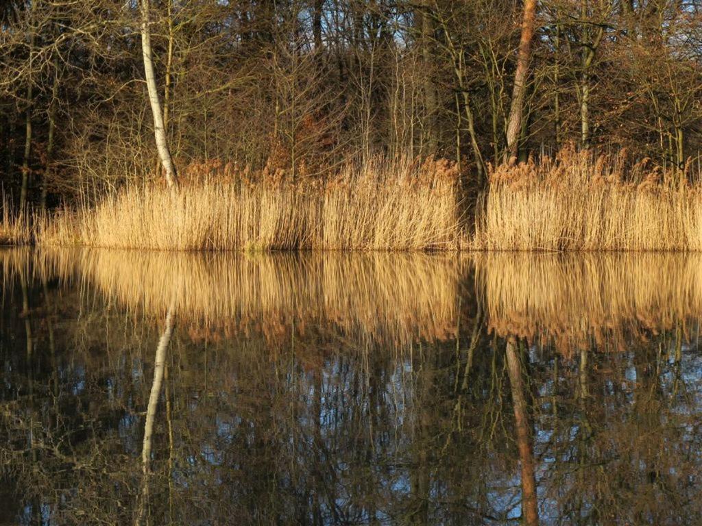 Landpension Wachtkopf Vaihingen an der Enz Εξωτερικό φωτογραφία